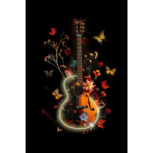 Quadro guitar farfalle - Palais Royal