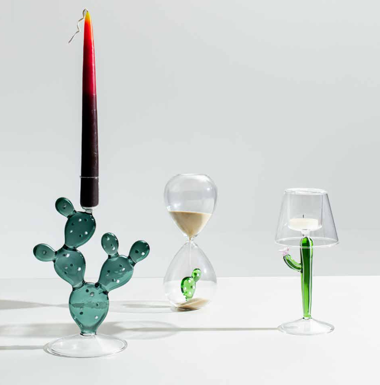 Portacandela cactus Desert Plants - Ichendorf