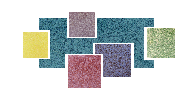 Vaso I Granitici 5 - Rebirth