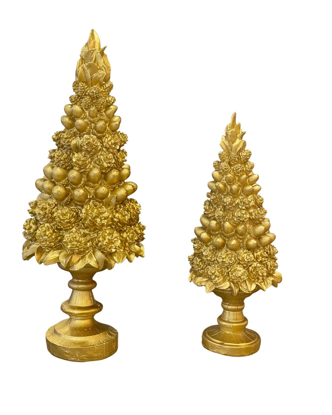 Coppia alberi con pigne Palais Royal