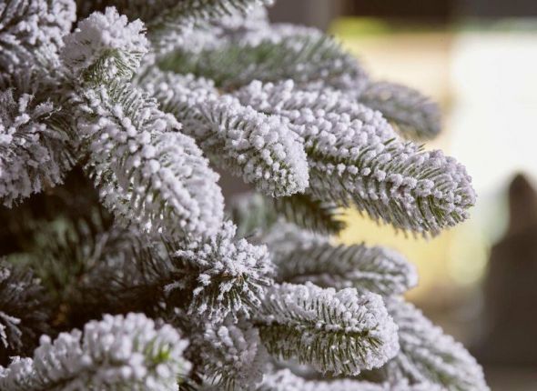 Pino Merano innevato 750/950LED - Enzo de Gasperi