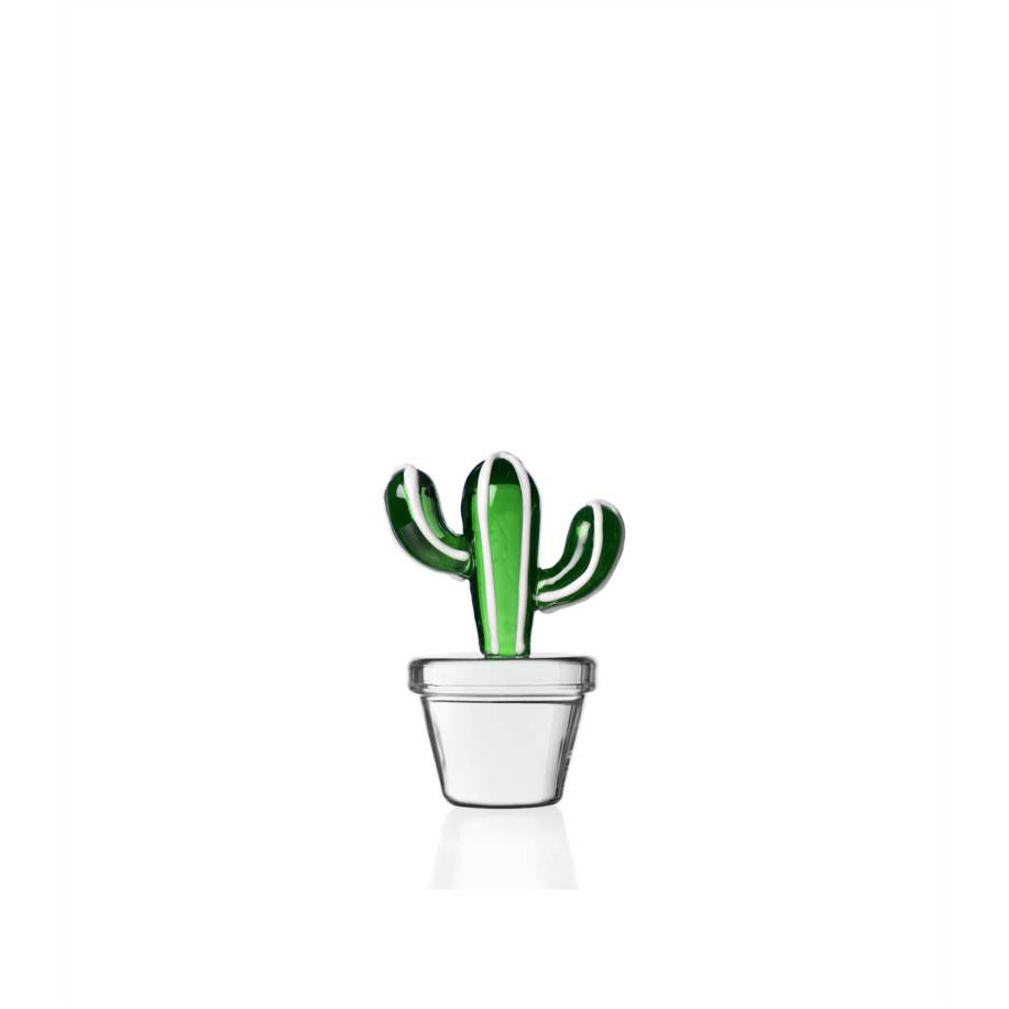 Fermacarte Desert Plants | Ichendorf Milano