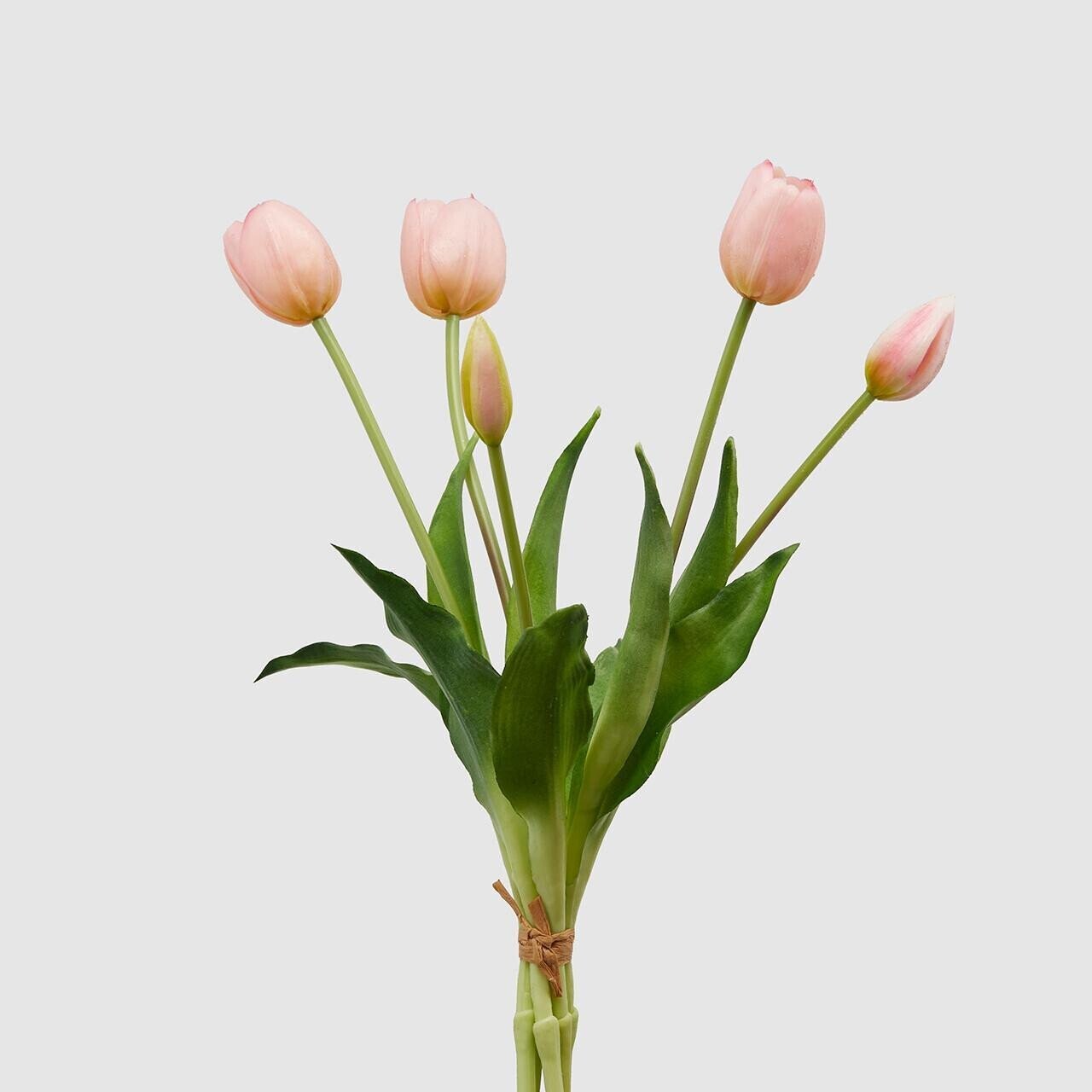 Tulipani 2 mazzetti da 5 - Enzo De Gasperi