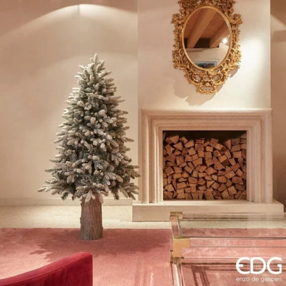 Base tronco EDG - Enzo De Gasperi