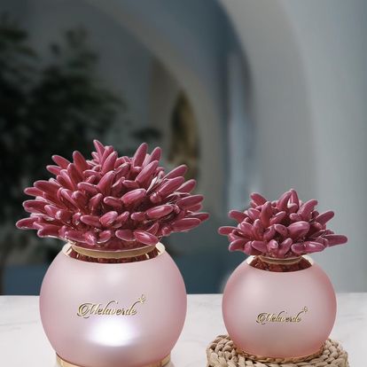 Lampada Linea Caraibi | Melaverde