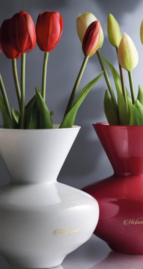 Vaso melaverde vl00 - Melaverde