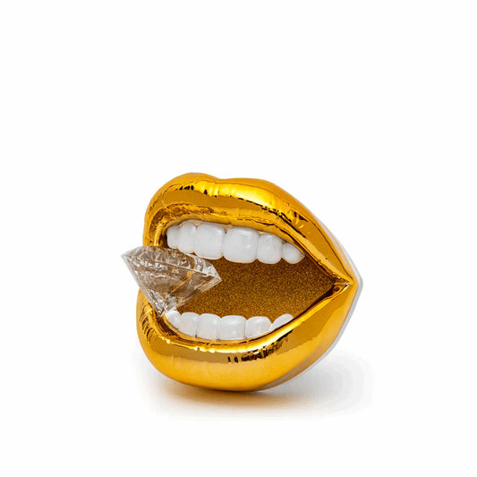 Girl's best friend - Sequenze