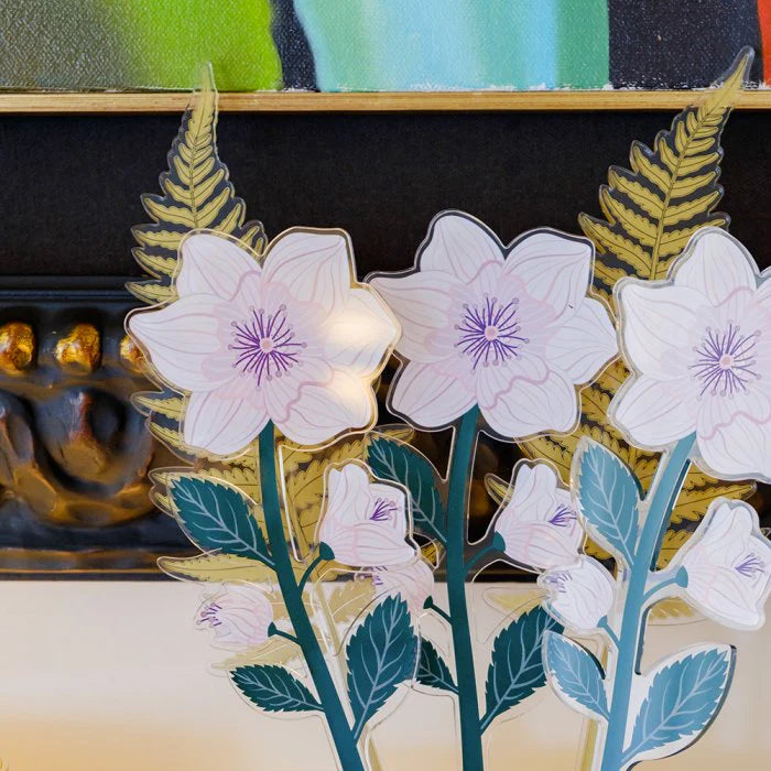 Calathea - Vesta Design